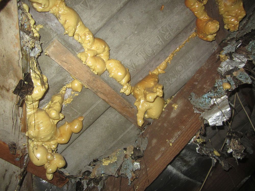 Leaking roof tiles repaired with expanding foam