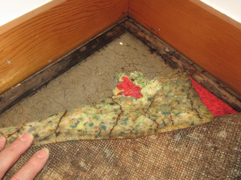 Water entry destroying shirting and carpet